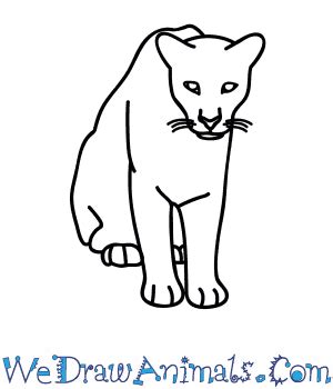 flerida easy drawing|how to draw florida panther.